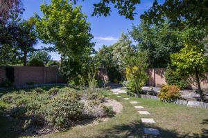 Photo 26- click for photo gallery